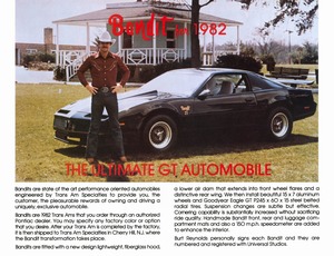 1982 Pontiac Firebird Trans Am Bandit-02.jpg